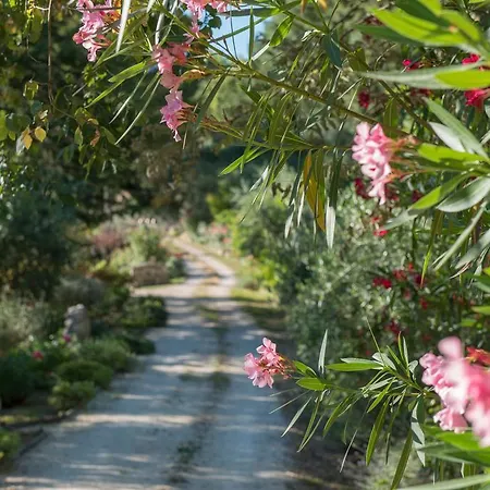Antica Fonte Séjour à la campagne